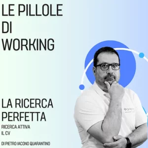 La ricerca perfetta